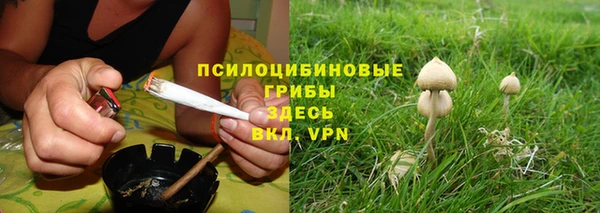apvp Балахна